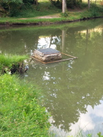 Klicken Sie auf das Bild, um es zu vergr&ouml;&szlig;ern