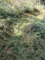 Klicken Sie auf das Bild, um es zu vergr&ouml;&szlig;ern