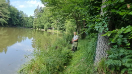 Klicken Sie auf das Bild, um es zu vergr&ouml;&szlig;ern