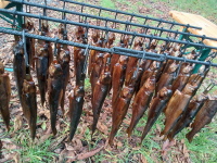 Klicken Sie auf das Bild, um es zu vergr&ouml;&szlig;ern