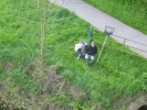 Klicken Sie auf das Bild, um es zu vergrößern