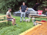 Klicken Sie auf das Bild, um es zu vergr&ouml;&szlig;ern