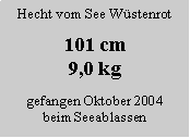 Textfeld: Hecht vom See Wstenrot101 cm9,0 kggefangen Oktober 2004beim Seeablassen